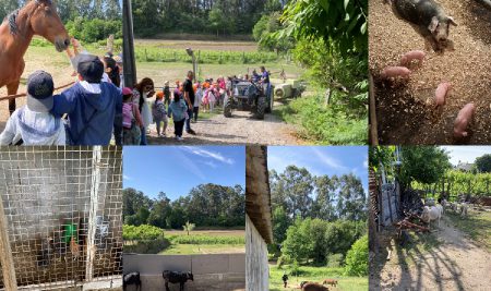 Dia Internacional do Fascínio das Plantas – Visita à Quinta do Nuno