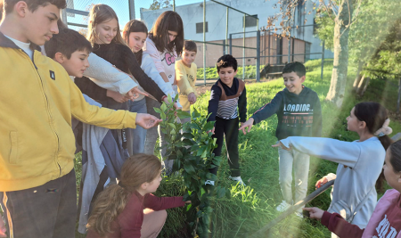 Dia da Floresta Autóctone