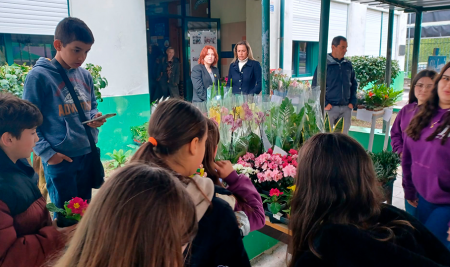 Feira das Flores