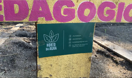 Plantação de Árvores de Fruto