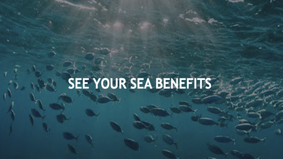 See Your Sea Benefits